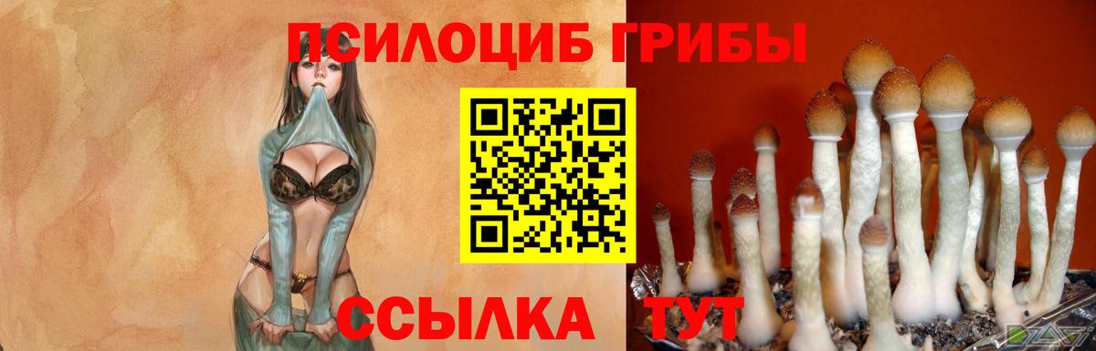 Псилоцибиновые грибы мухоморы  Вход с VPN  Наро-Фоминск 